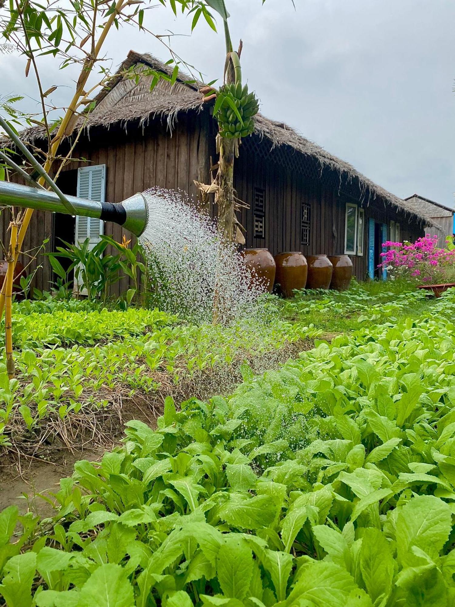 Mekong Silt Ecolodge เกิ่นเทอ ภายนอก รูปภาพ