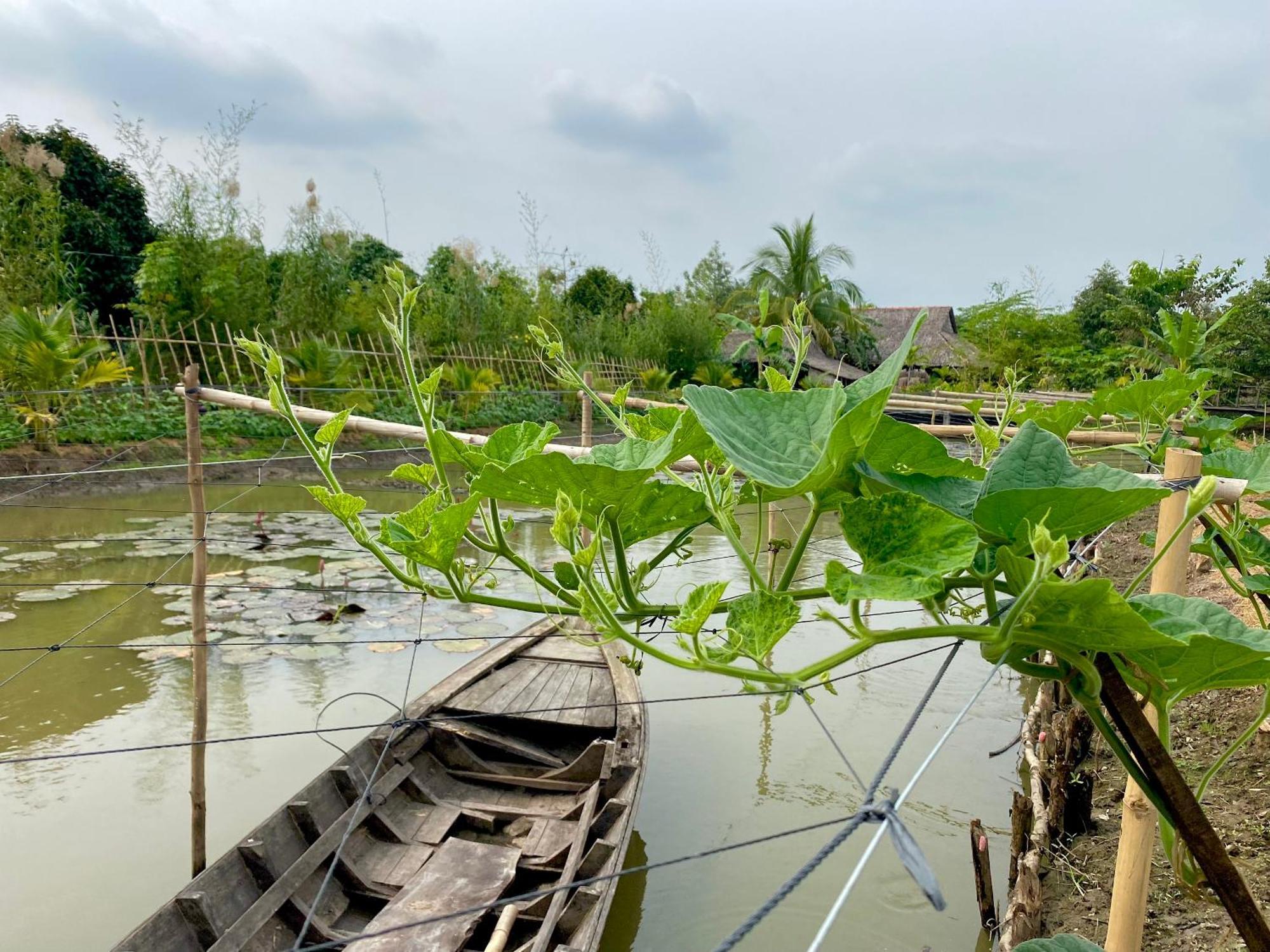 Mekong Silt Ecolodge เกิ่นเทอ ภายนอก รูปภาพ